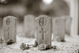 47. Grave with paratrooper's badge and sunflowers